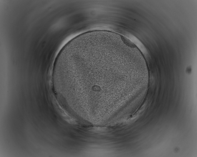 X0000101991052200808081630