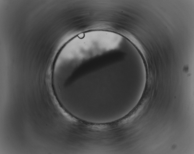 X0000101991053200808081630