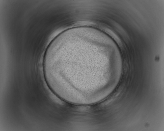 X0000101991055200808081630