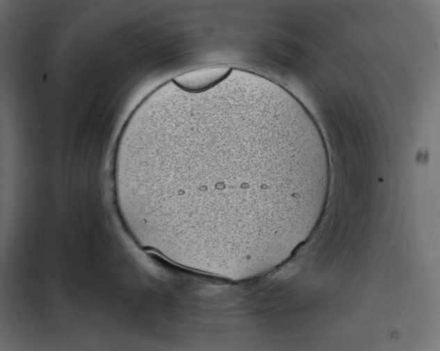 X0000101991056200808081630