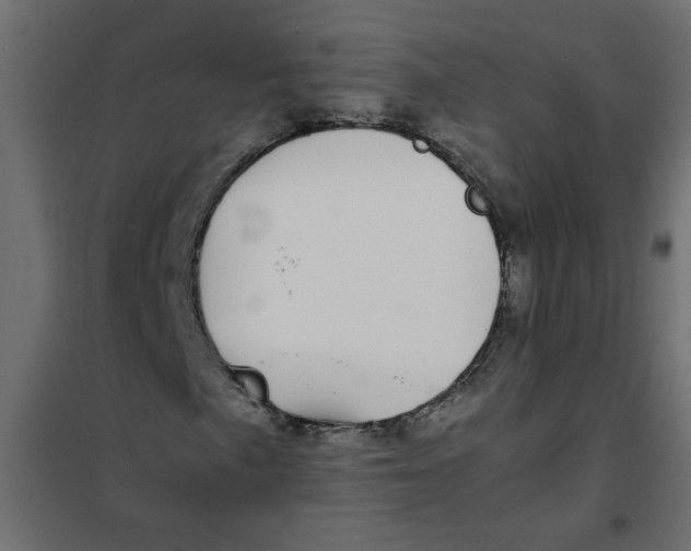 X0000101991057200808081629