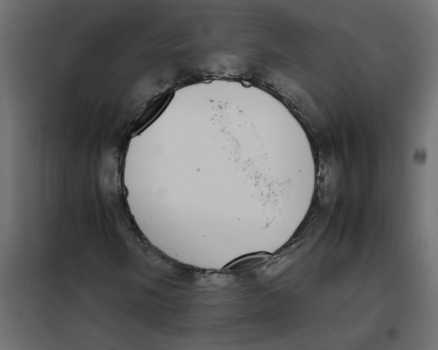 X0000101991058200808081629