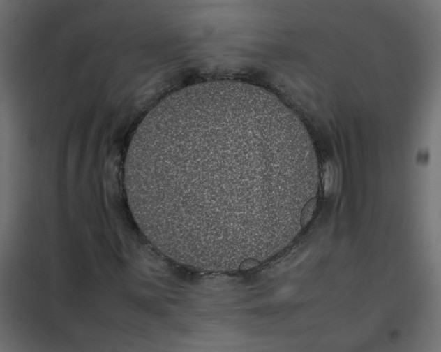 X0000101991059200808081629