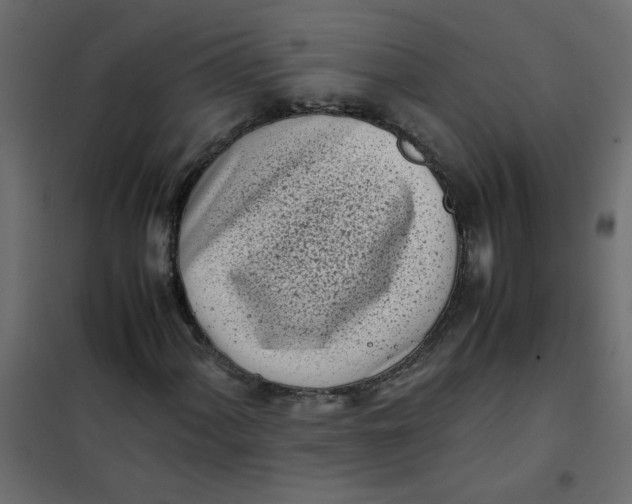 X0000101991060200808081629