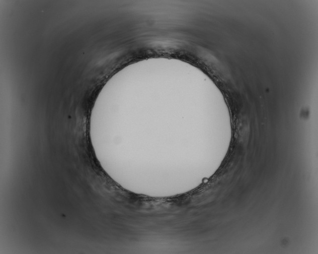 X0000101991061200808081629