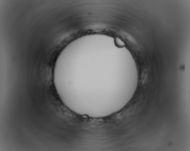 X0000101991062200808081629