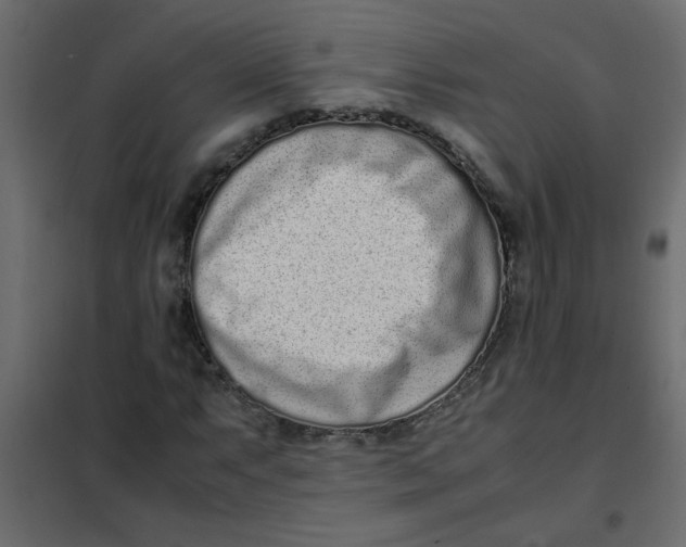 X0000101991063200808081629