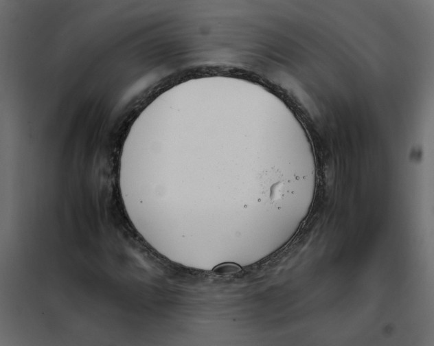 X0000101991064200808081629