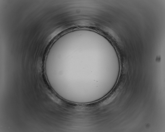 X0000101991065200808081629