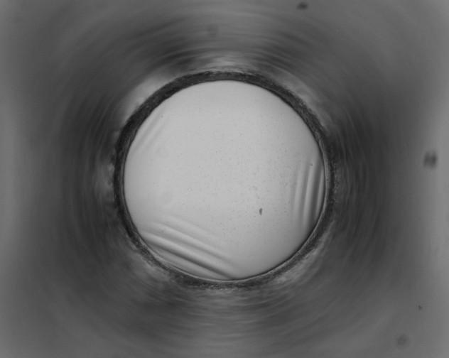 X0000101991066200808081629