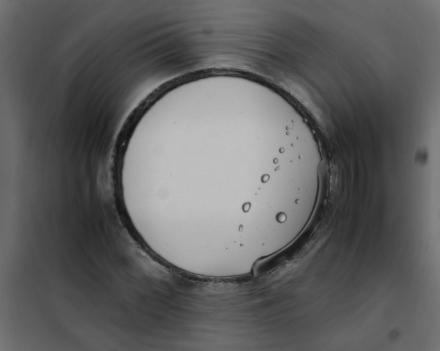 X0000101991068200808081629