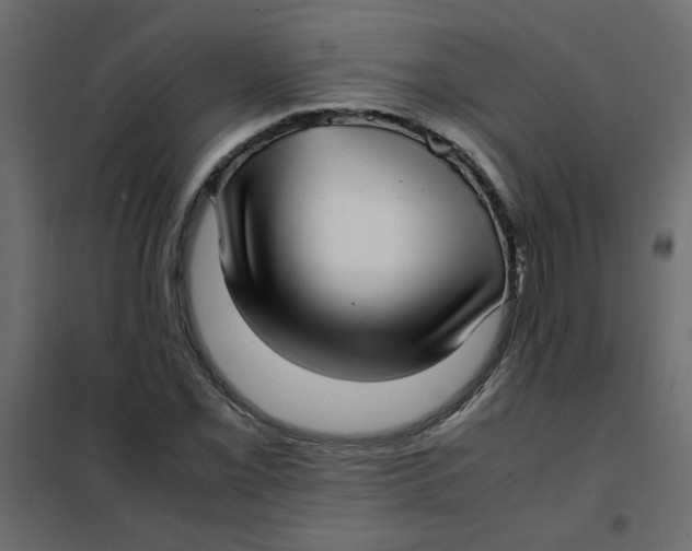 X0000101991069200808081629