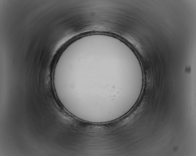 X0000101991070200808081629