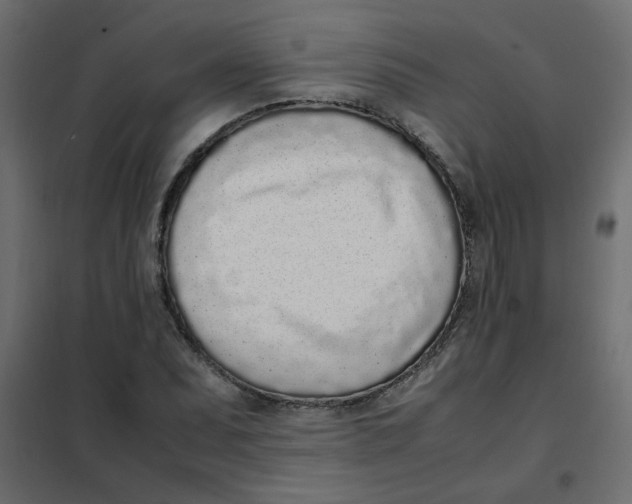 X0000101991071200808081629