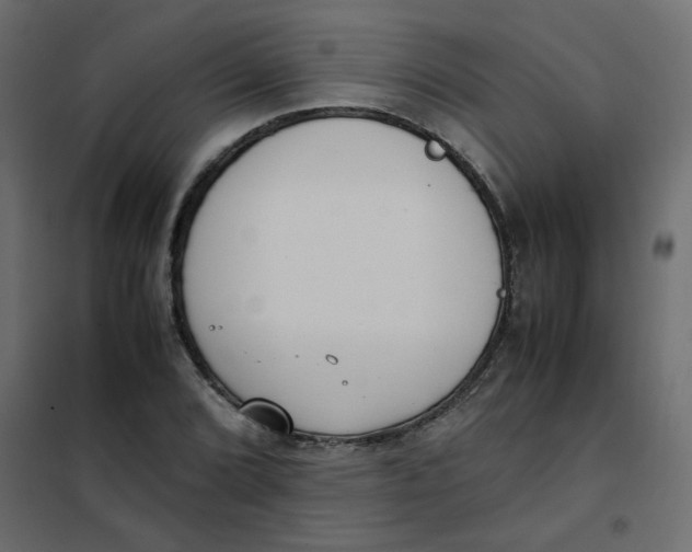 X0000101991072200808081629