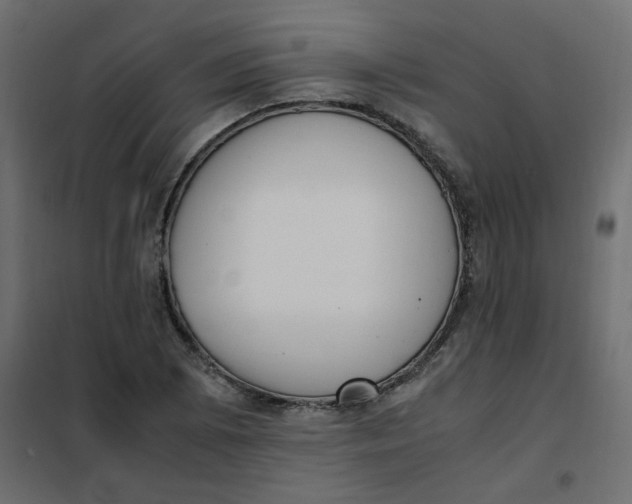 X0000101991073200808081629