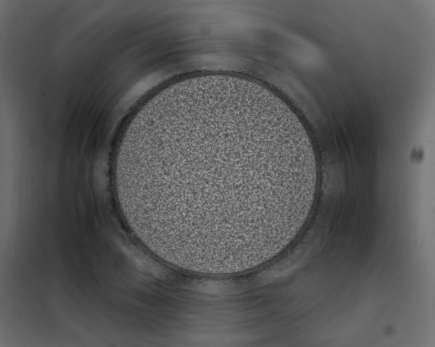 X0000101991074200808081629