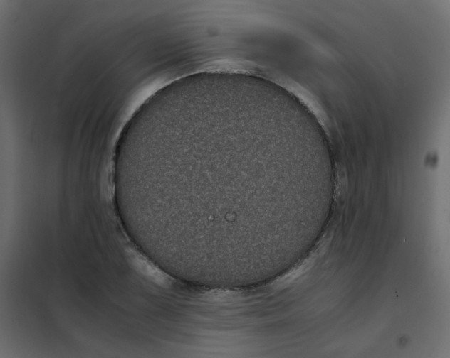 X0000101991075200808081629