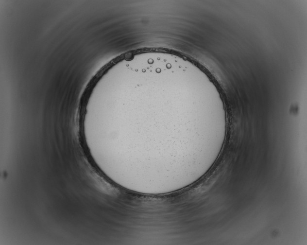 X0000101991076200808081629