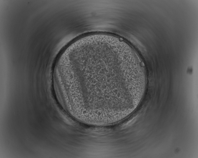 X0000101991077200808081629