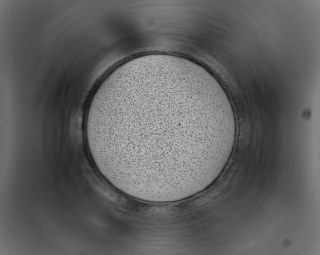 X0000101991078200808081629