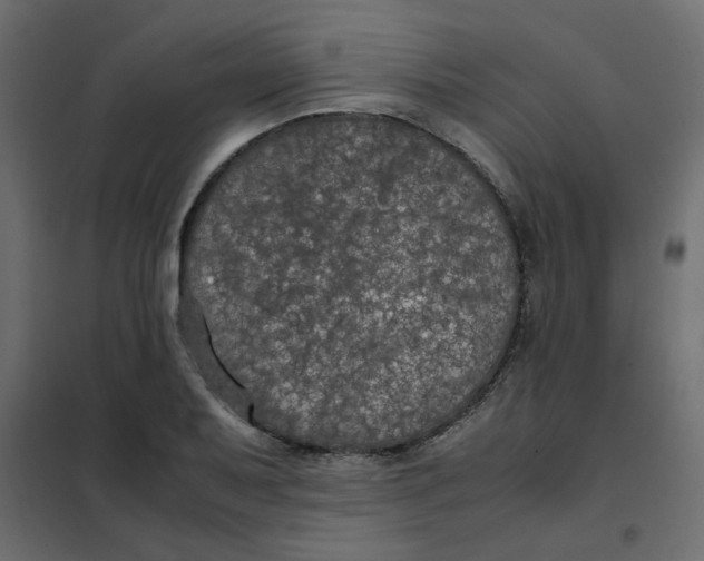 X0000101991079200808081629