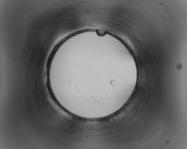 X0000101991080200808081629