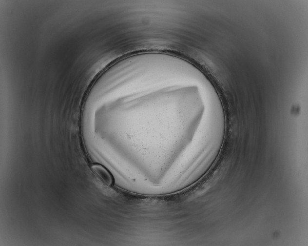 X0000101991081200808081629