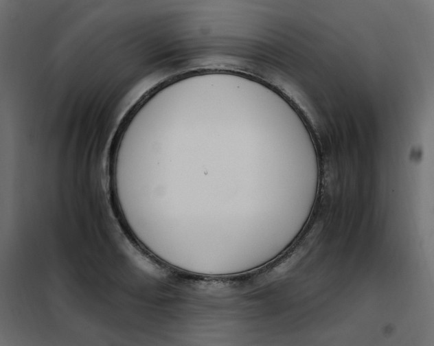 X0000101991082200808081629