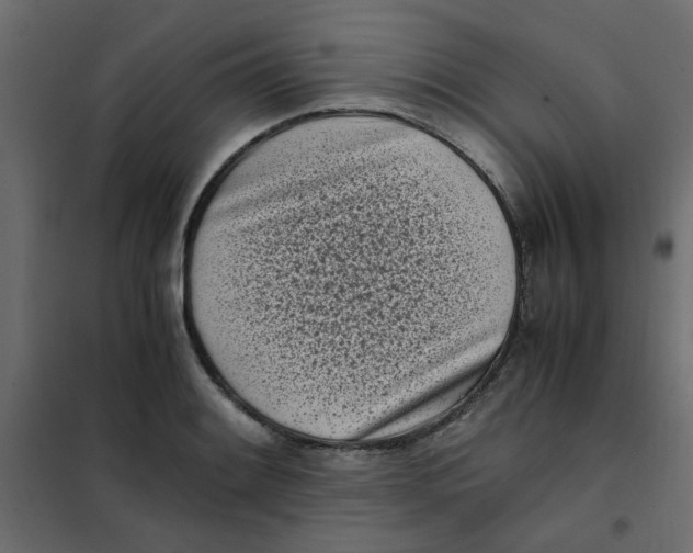 X0000101991084200808081629