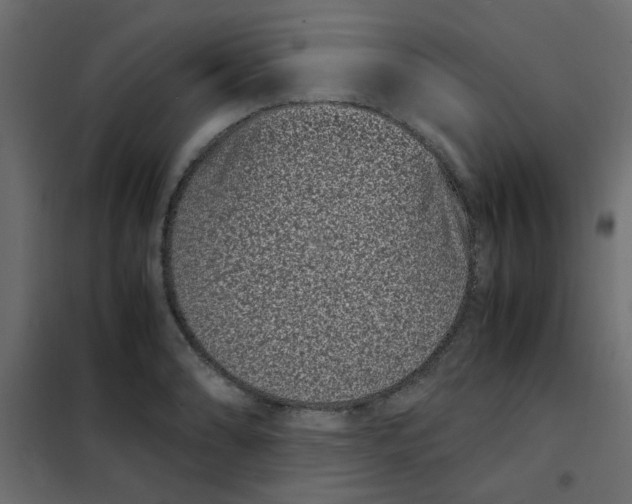 X0000101991086200808081629