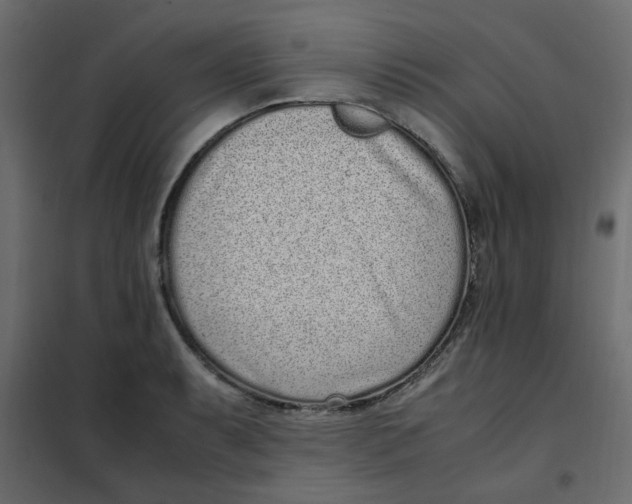 X0000101991087200808081629