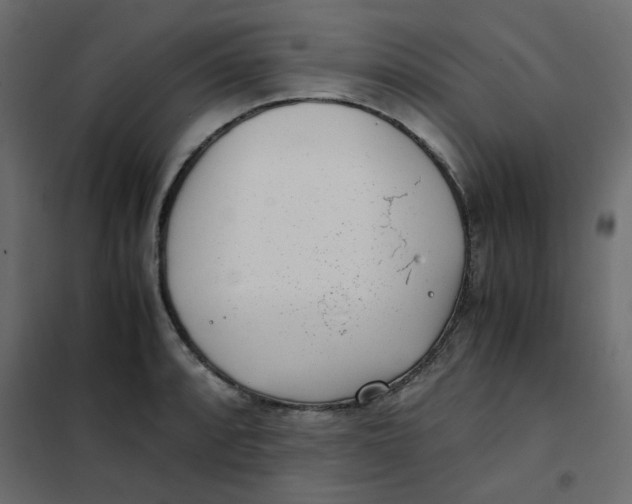 X0000101991088200808081629