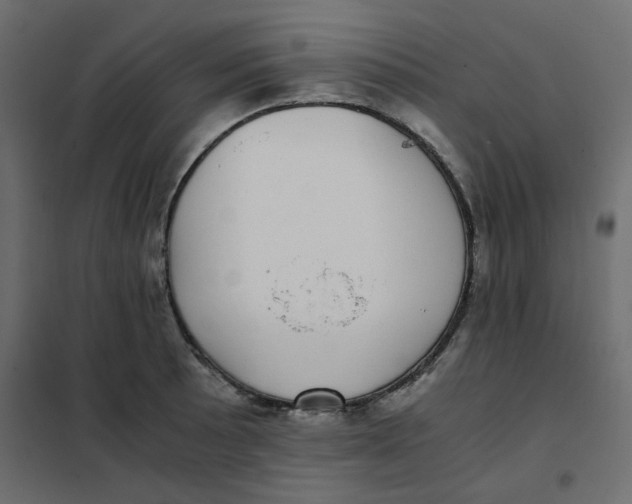 X0000101991089200808081629