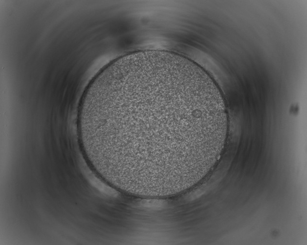 X0000101991090200808081629