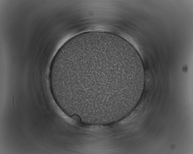 X0000101991091200808081629