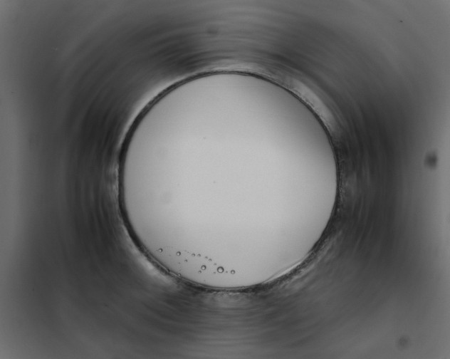 X0000101991092200808081629