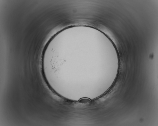 X0000101991093200808081629