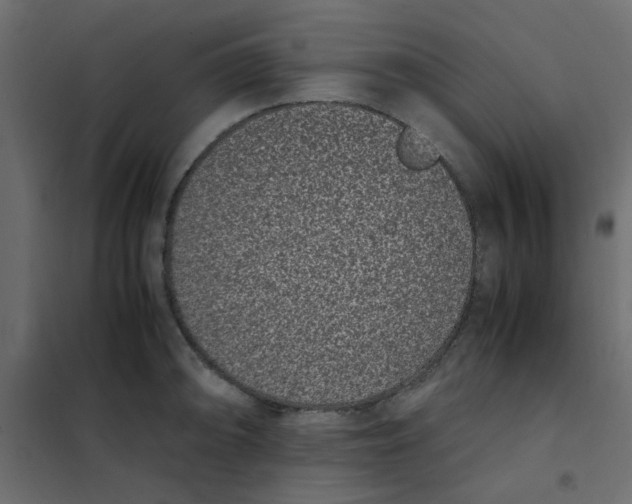 X0000101991094200808081629