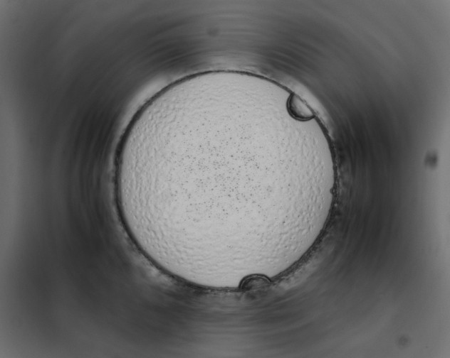 X0000101991096200808081629