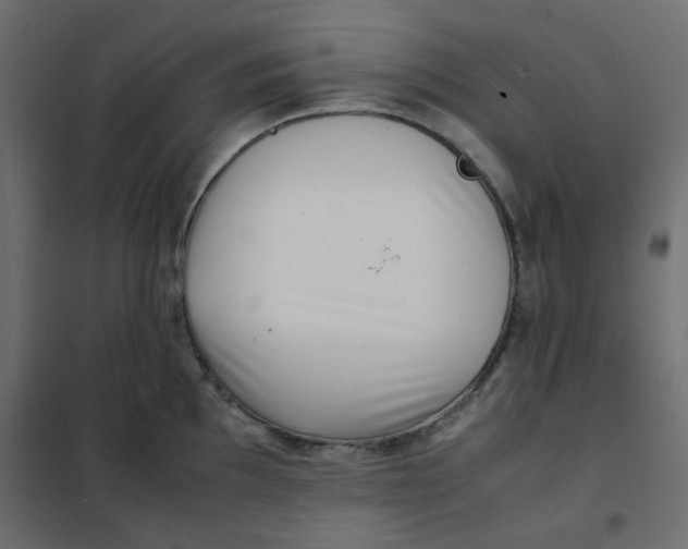 X0000101991097200808081629