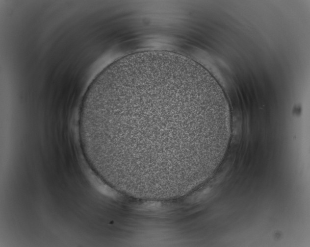 X0000101991098200808081629