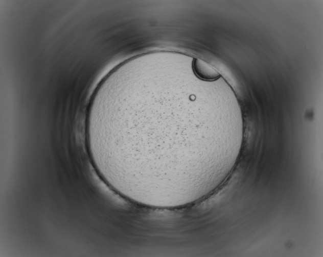 X0000101991100200808081629