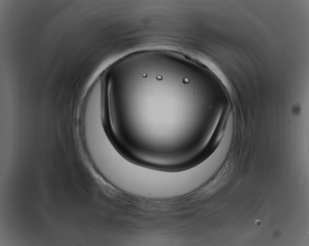 X0000101991101200808081629