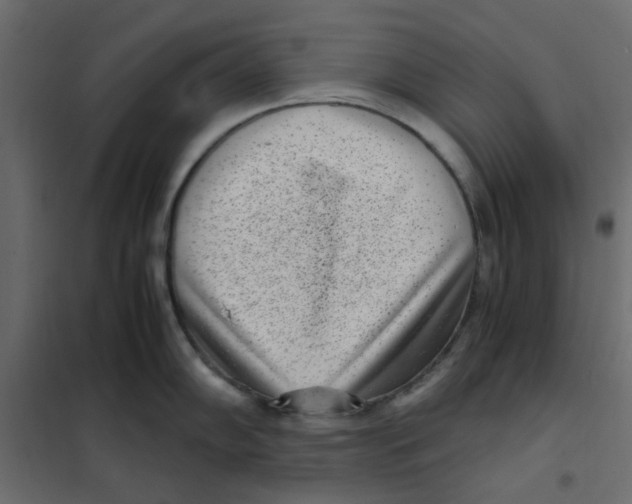 X0000101991102200808081629