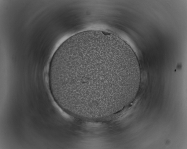 X0000101991103200808081629