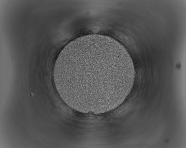 X0000101991105200808081628