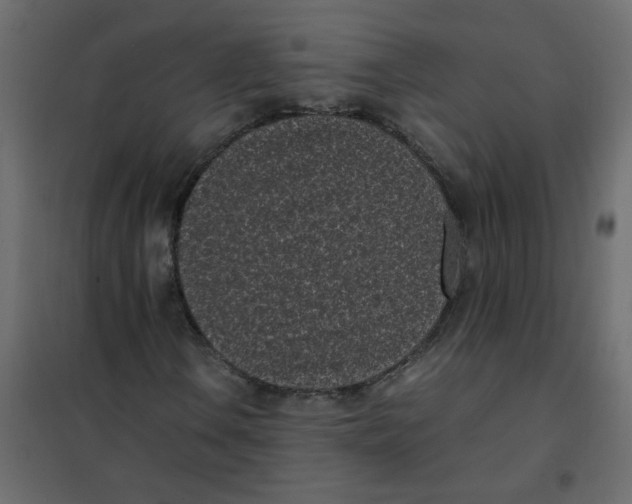 X0000101991106200808081628