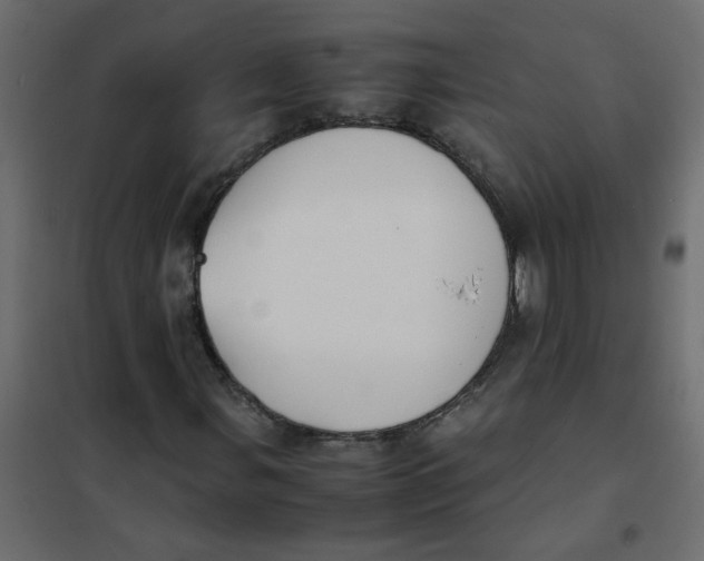 X0000101991107200808081628