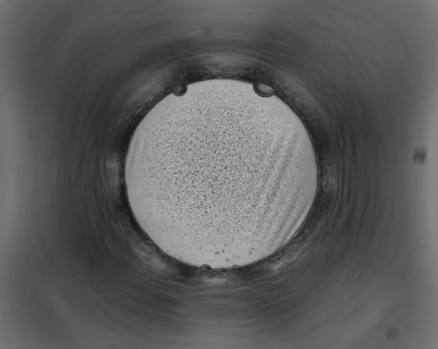 X0000101991108200808081628